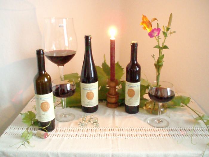 Blauer Bernburger Wein Jahrgang 2005